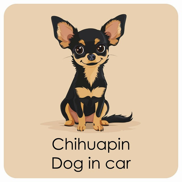 Chihuapin チワピン DOG IN CAR パステル くすみカラー スタイル アニメ風 ステッカー 13x13cm 正方形 シール カーステッカー