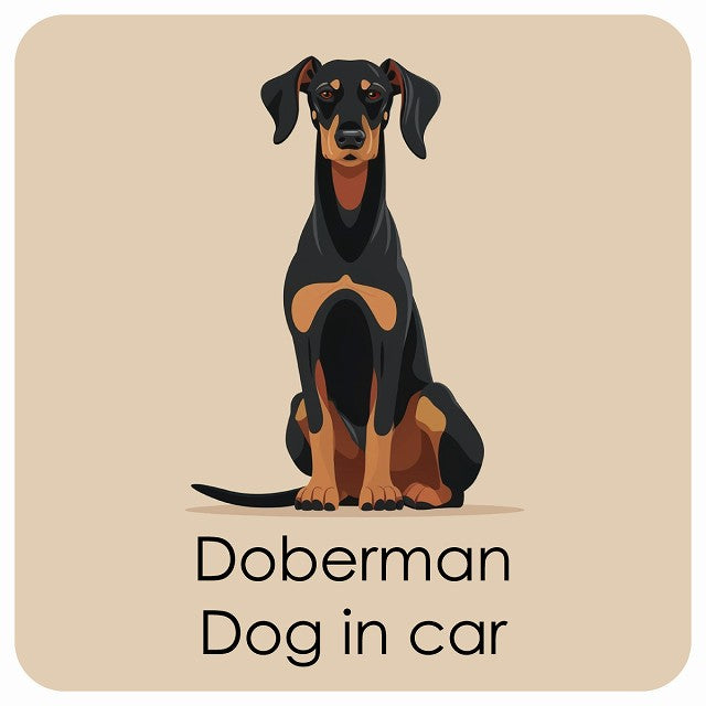 Doberman ドーベルマン DOG IN CAR パステル くすみカラー スタイル アニメ風 ステッカー 13x13cm 正方形 シール カーステッカー