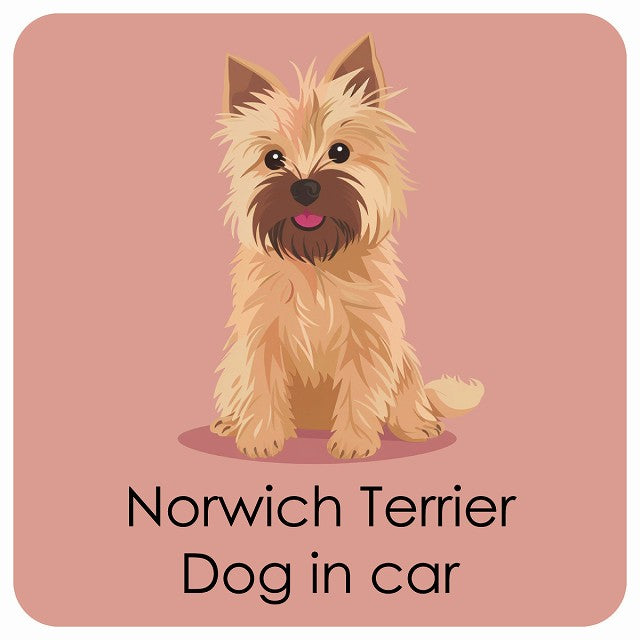 Norwich Terrier ノーリッチテリア DOG IN CAR パステル くすみカラー スタイル アニメ風 ステッカー 13x13cm 正方形 シール カーステッカー
