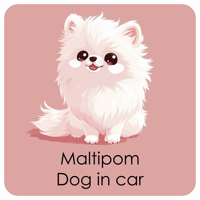 Maltipom ポメマル DOG IN CAR パステル くすみカラー スタイル アニメ風 ステッカー 13x13cm 正方形 シール カーステッカー