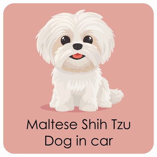 Maltese Shih Tzu マルシーズー DOG IN CAR パステル くすみカラー スタイル アニメ風 ステッカー 13x13cm 正方形