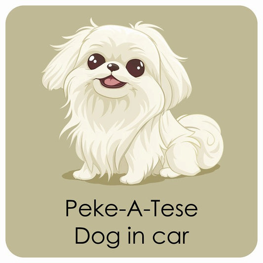 Peke-A-Tese マルペキ DOG IN CAR パステル くすみカラー スタイル アニメ風 ステッカー 13x13cm 正方形