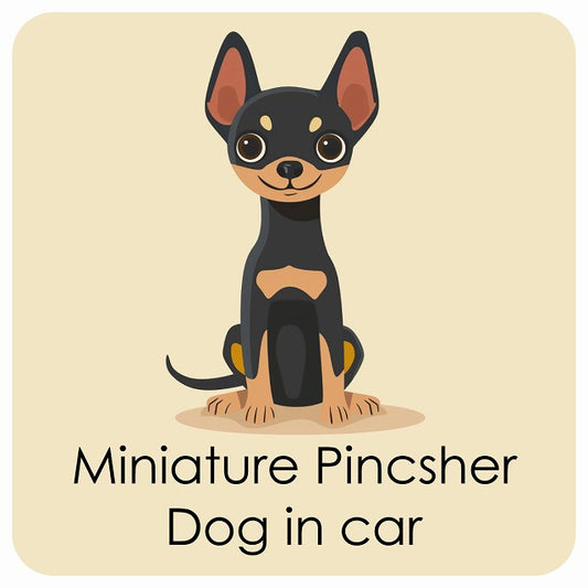 Miniature Pincsher ミニチュアピンシャー DOG IN CAR パステル くすみカラー スタイル アニメ風 ステッカー 13x13cm 正方形