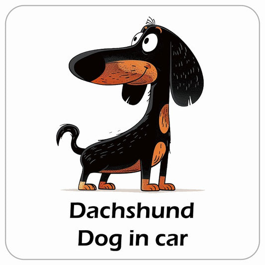 Dachshund ダックスフント DOG IN CAR アメリカン カートゥーン スタイル アニメ風 ステッカー 13x13cm 正方形