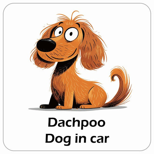 Dachpoo ダップー DOG IN CAR アメリカン カートゥーン スタイル アニメ風 ステッカー 13x13cm 正方形