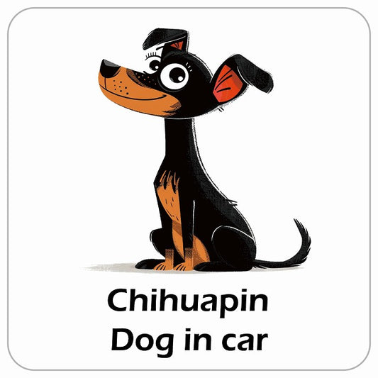 Chihuapin チワピン DOG IN CAR アメリカン カートゥーン スタイル アニメ風 ステッカー 13x13cm 正方形