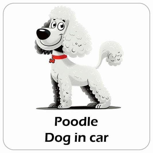 Poodle プードル DOG IN CAR アメリカン カートゥーン スタイル アニメ風 ステッカー 13x13cm 正方形