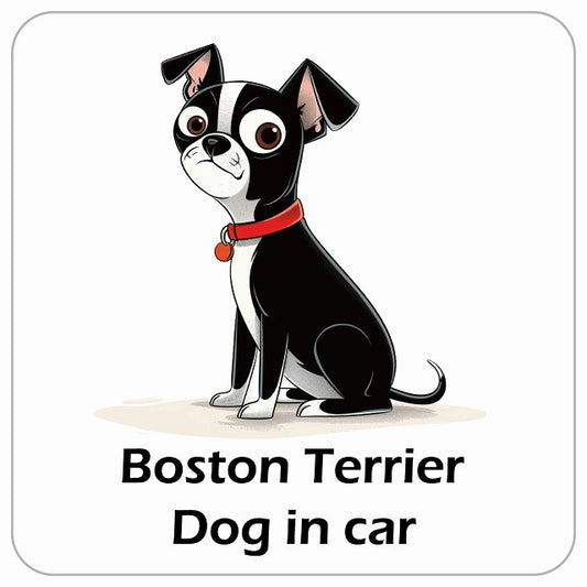 Boston Terrier ボストンテリア DOG IN CAR アメリカン カートゥーン スタイル アニメ風 ステッカー 13x13cm 正方形