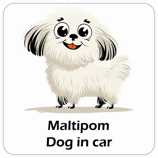 Maltipom ポメマル DOG IN CAR アメリカン カートゥーン スタイル アニメ風 ステッカー 13x13cm 正方形