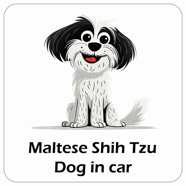 Maltese Shih Tzu マルシーズー DOG IN CAR アメリカン カートゥーン スタイル アニメ風 ステッカー 13x13cm 正方形