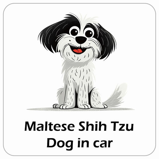 Maltese Shih Tzu マルシーズー DOG IN CAR アメリカン カートゥーン スタイル アニメ風 ステッカー 13x13cm 正方形