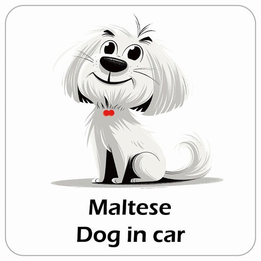 Maltese マルチーズ DOG IN CAR アメリカン カートゥーン スタイル アニメ風 ステッカー 13x13cm 正方形