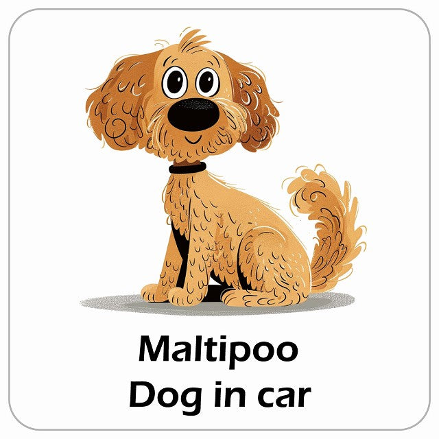 Maltipoo マルプー DOG IN CAR アメリカン カートゥーン スタイル アニメ風 ステッカー 13x13cm 正方形