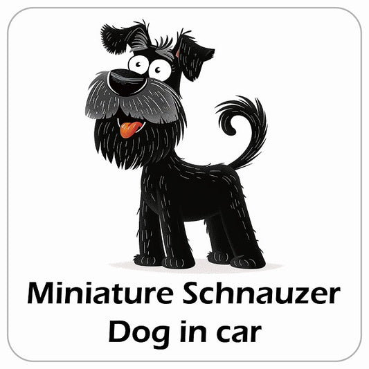 Miniature Schnauzer ミニチュアシュナウザー DOG IN CAR アメリカン カートゥーン スタイル アニメ風 ステッカー 13x13cm 正方形
