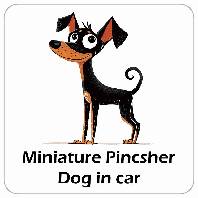 Miniature Pincsher ミニチュアピンシャー DOG IN CAR アメリカン カートゥーン スタイル アニメ風 ステッカー 13x13cm 正方形