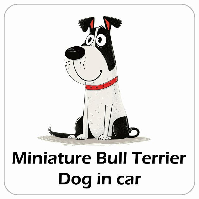 Miniature Bull Terrier ミニチュアブルテリア DOG IN CAR アメリカン カートゥーン スタイル アニメ風 ステッカー 13x13cm 正方形