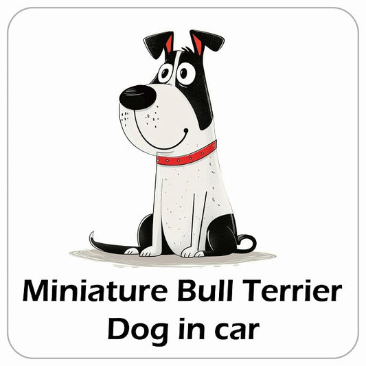 Miniature Bull Terrier ミニチュアブルテリア DOG IN CAR アメリカン カートゥーン スタイル アニメ風 ステッカー 13x13cm 正方形