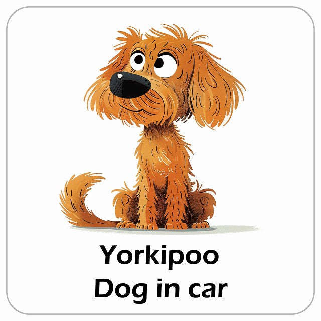 Yorkipoo ヨープー DOG IN CAR アメリカン カートゥーン スタイル アニメ風 ステッカー 13x13cm 正方形