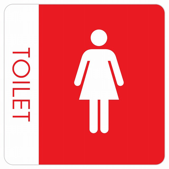 トイレ 御手洗 TOILET トイレマーク B1 女 WOMENS ステッカー 正方形 シール サインステッカー 案内表示 施設用 ピクトサイン ピクトグラム 選べるサイズ