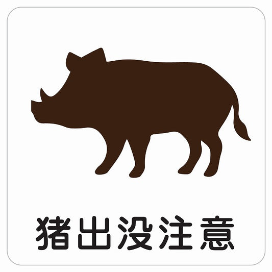 猪出没注意 ピクトサイン ステッカー 正方形 シール サインステッカー 安全表示 警告 ピクトグラム 選べるサイズ