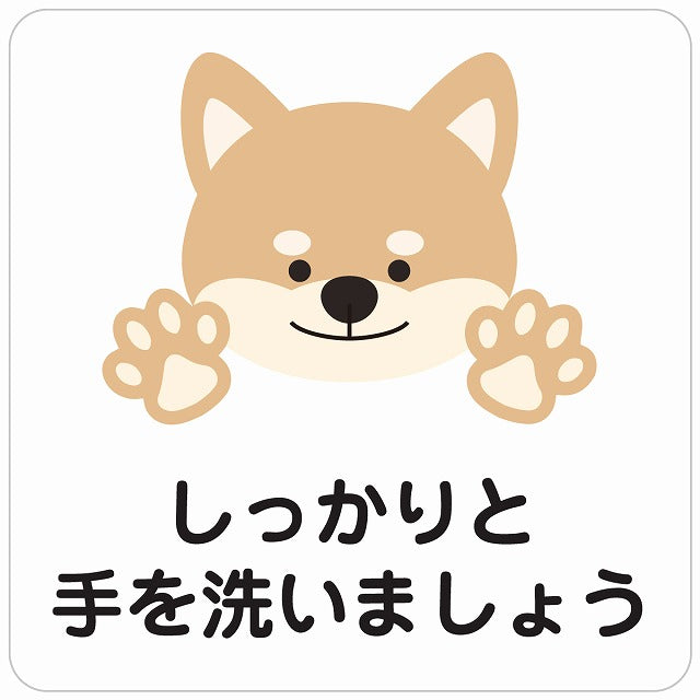 しっかりと手を洗いましょう 犬 ホワイト ステッカー 正方形 シール サインステッカー ピクトサイン ピクトグラム 選べるサイズ