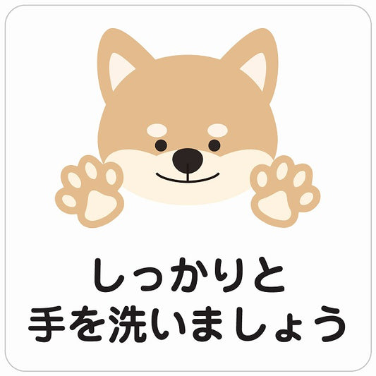 しっかりと手を洗いましょう 犬 ホワイト ステッカー 正方形 シール サインステッカー ピクトサイン ピクトグラム 選べるサイズ