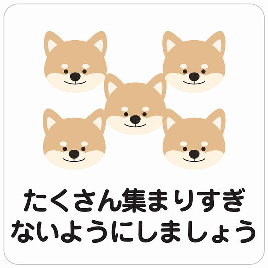 たくさん集まりすぎないようにしましょう 犬 ホワイト ステッカー 正方形 シール サインステッカー ピクトサイン ピクトグラム 選べるサイズ