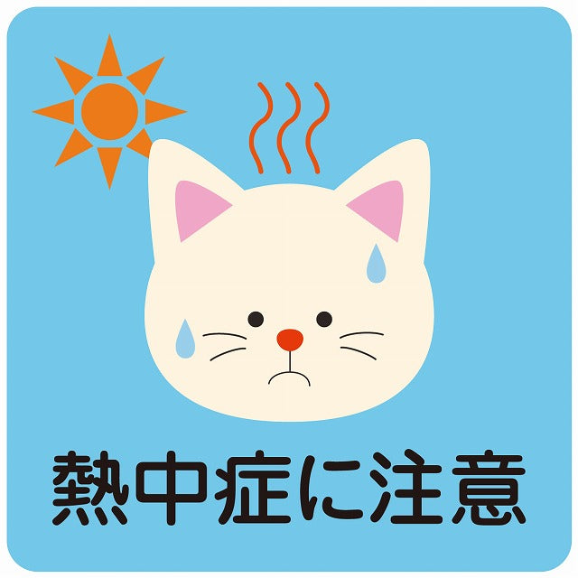 熱中症対策 熱中症に注意 ねこ ブルー ステッカー 正方形 シール サインステッカー 安全表示 警告 ピクトサイン ピクトグラム 選べるサイズ
