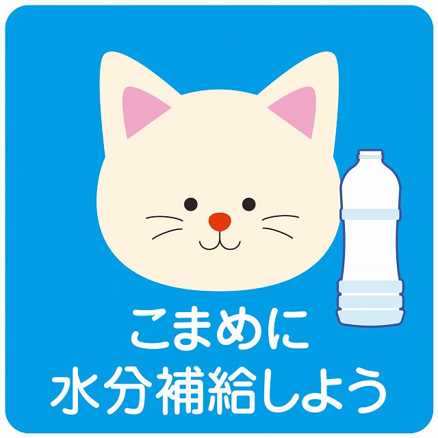 熱中症対策 こまめに水分補給 ねこ ブルー ステッカー 正方形 シール サインステッカー ピクトサイン ピクトグラム 選べるサイズ