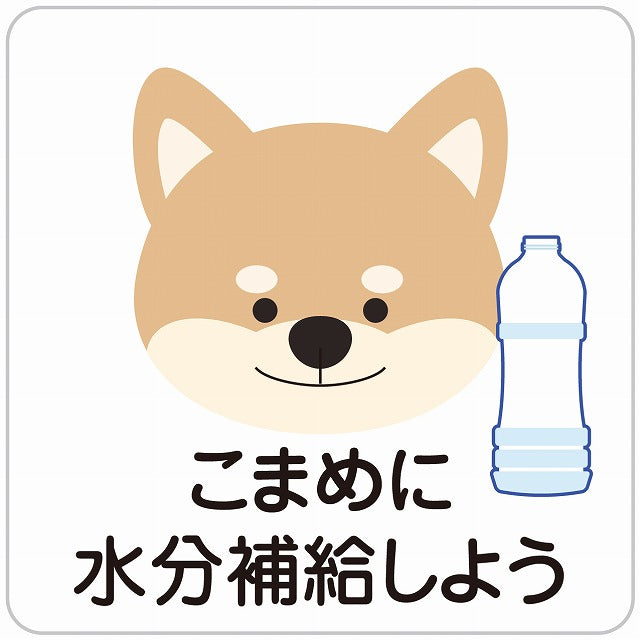 熱中症対策 こまめに水分補給 いぬ ホワイト ステッカー 正方形 シール サインステッカー ピクトサイン ピクトグラム 選べるサイズ