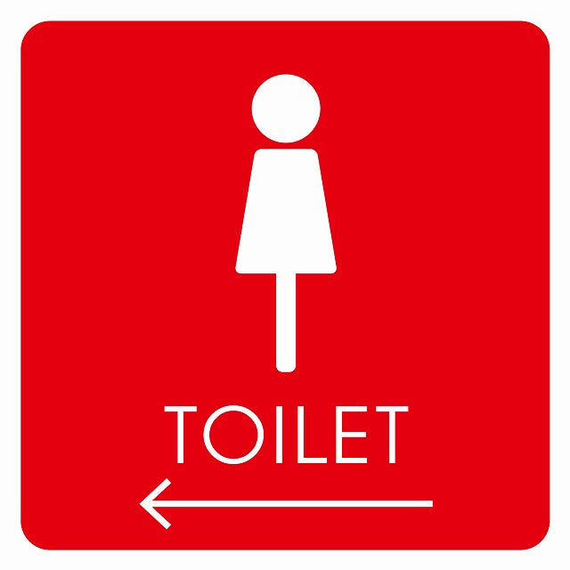 トイレ 御手洗 TOILET トイレマーク E2女 左 矢印 ステッカー 正方形 シール サインステッカー 誘導表示 ピクトサイン ピクトグラム 選べるサイズ
