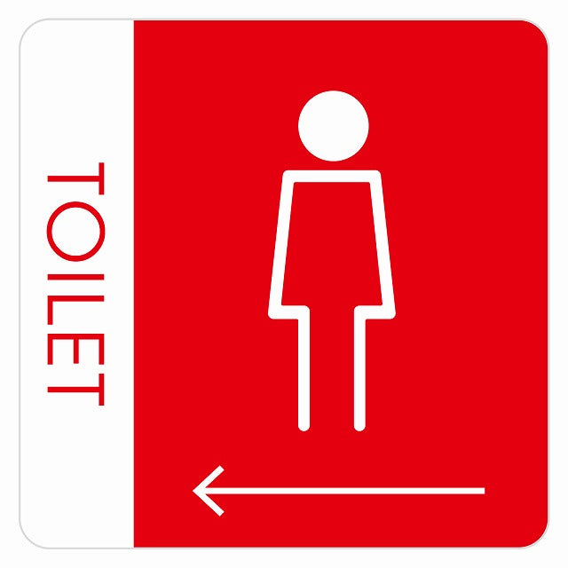 トイレ 御手洗 TOILET トイレマーク H1女 左 矢印 ステッカー 正方形 シール サインステッカー 誘導表示 ピクトサイン ピクトグラム 選べるサイズ