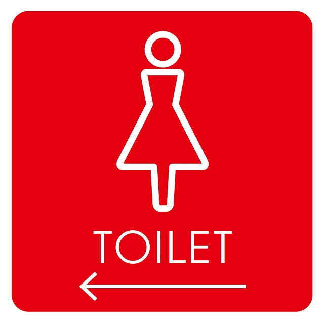 トイレ 御手洗 TOILET トイレマーク L2女 左 矢印 ステッカー 正方形 シール サインステッカー 誘導表示 ピクトサイン ピクトグラム 選べるサイズ