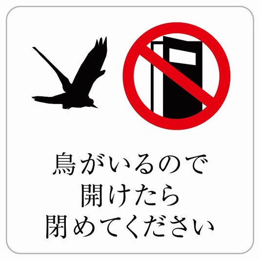 鳥がいるので開けたら閉めてください ステッカー 正方形 シール サインステッカー ピクトサイン ピクトグラム 選べるサイズ