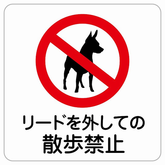 リードを外しての散歩禁止 ピクトサイン ステッカー正方形 シール サインステッカー 禁止表示 ピクトグラム 選べるサイズ