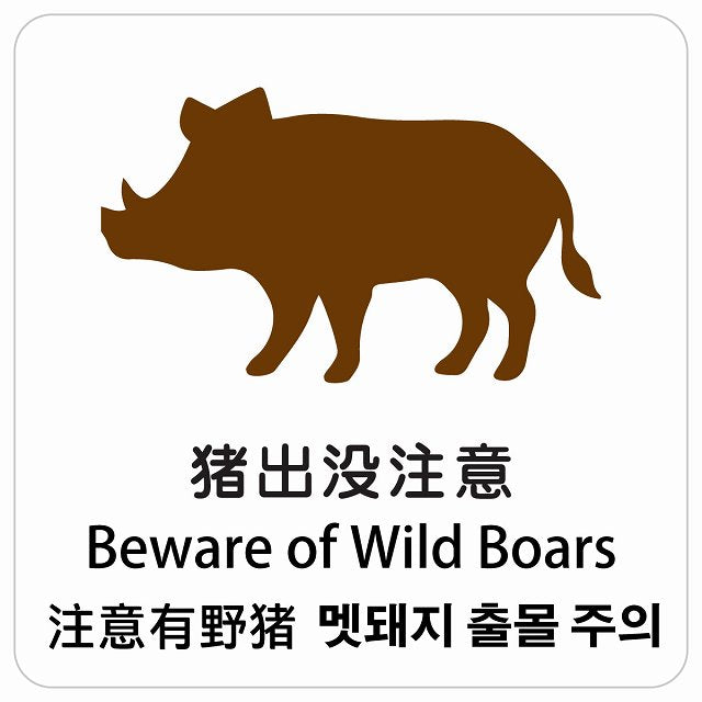 猪出没注意 インバウンド 多言語 英語 中国語 韓国語 対応 ピクトサイン ステッカー 正方形 シール サインステッカー 外国人対応 ピクトグラム 選べるサイズ