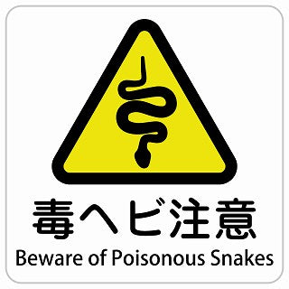 毒ヘビ注意 Beware of Poisonous Snakes インバウンド 多言語 英語 外国語 英語表記 ステッカー 正方形 シール サインステッカー 外国人対応 ピクトサイン ピクトグラム 選べるサイズ