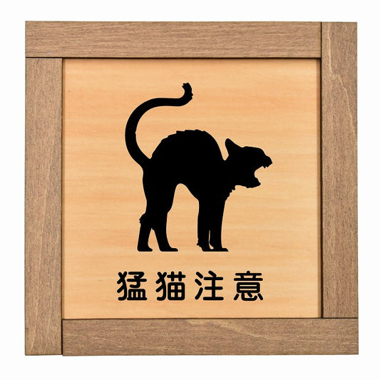 猛猫注意