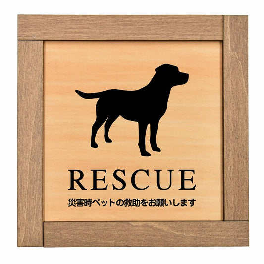 RESCUE レスキュー ペット救助 犬