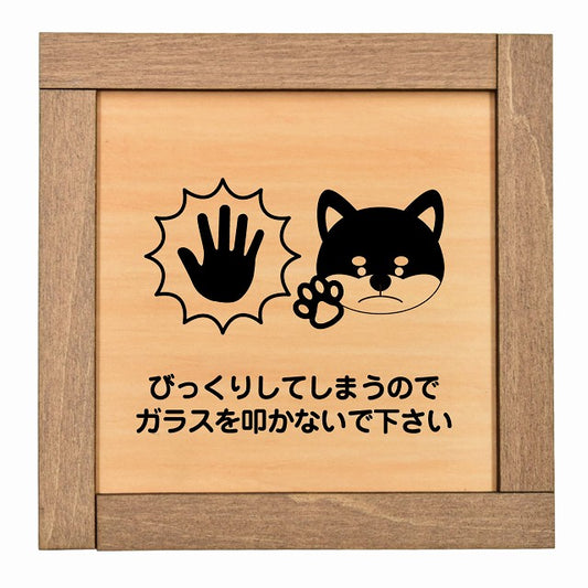 びっくりしてしまうのでガラスを叩かないで 犬